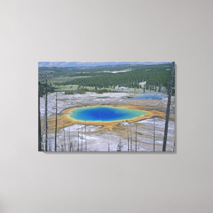 Grand Prismatic Spring, Yellowstone National Park, Canvas Print