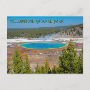 Grand Prismatic Spring Yellowstone National Park Postcard