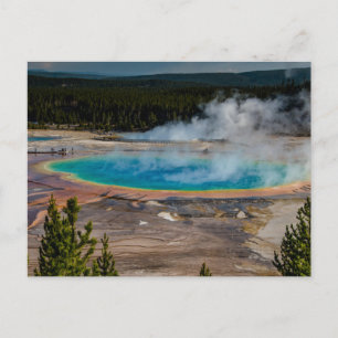 Grand Prismatic Spring Yellowstone National Park Postcard