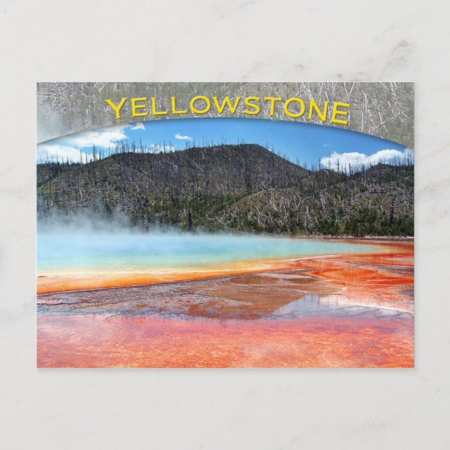 Grand Prismatic Spring, Yellowstone National Park Postcard (Front)