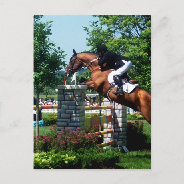 Grand Prix Horse Postcards (Front)