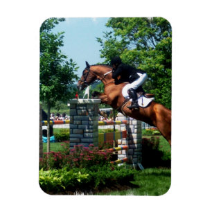 Grand Prix Horse Premium Magnet