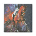 Grand Prix olympic dressage horse stallion bay