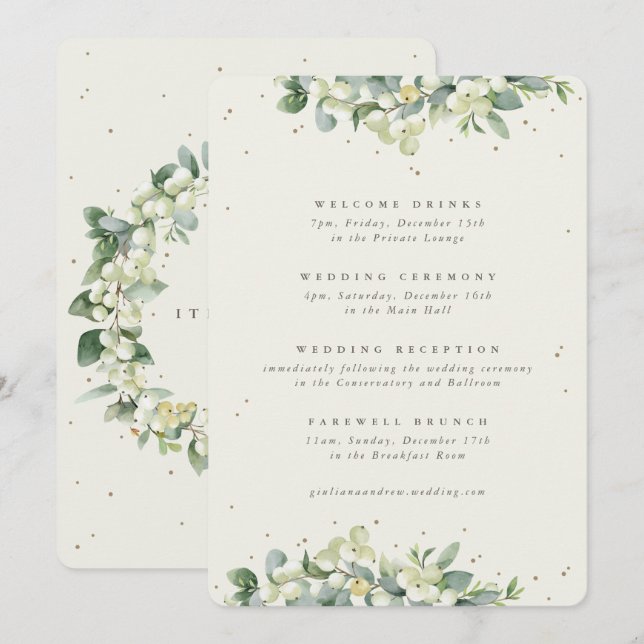 Grand Programme de Mariage Crème et Eucalyptus ave (Devant / Derrière)