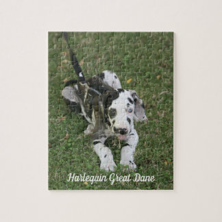 Grand Puzzle de Chiot Dane