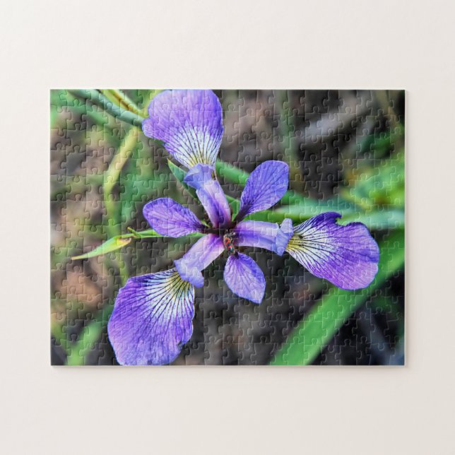 Grand Puzzle photo Wild Blue Iris (Horizontal)