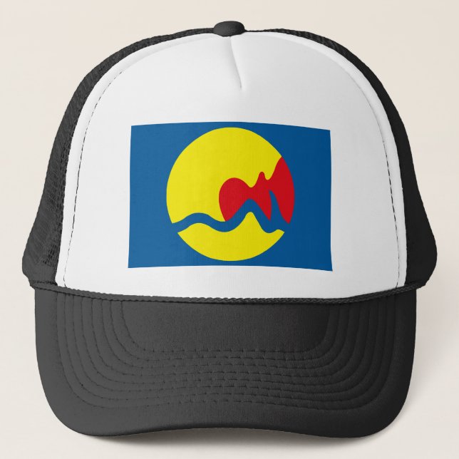 Grand Rapids Flag Hat (Front)