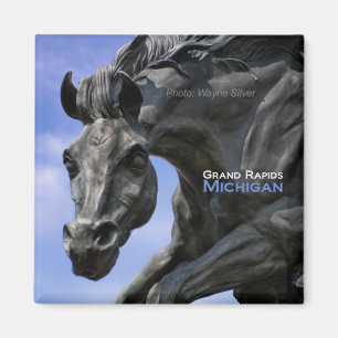 Grand Rapids Michigan Magnet Travel Souvenir