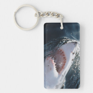 Grand requin blanc en mer