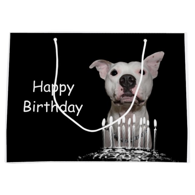 Grand Sac Cadeau Anniversaire blanc de Pitbull (Devant)