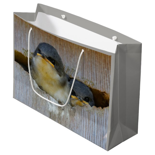 Grand Sac Cadeau Bébé mignon Avales Songbirds dans Nestbox (Devant Angle)