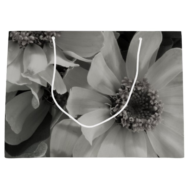 Grand Sac Cadeau Brown Eyed Susan Flowers (Devant)