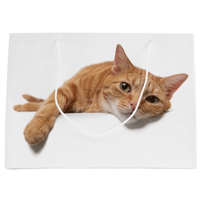 Grand Sac Cadeau Chat Orange Posé En Bas (Devant)