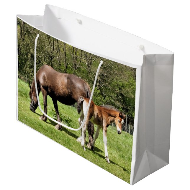 GRAND SAC CADEAU CHEVAUX (Devant Angle)