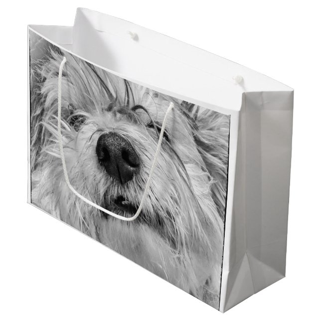 Grand Sac Cadeau Chien de Coton de Tulear (Devant Angle)