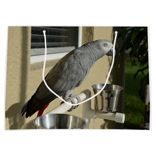 Grand Sac Cadeau Congo : Le perroquet gris africain sur pied (Devant)