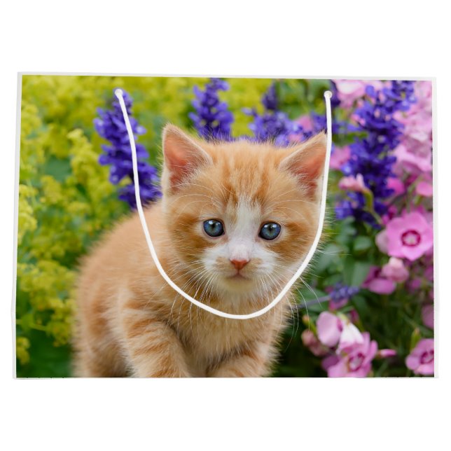 Grand Sac Cadeau Cute Fluffy Ginger Baby Chat Kitten en Fleurs Anim (Dos)