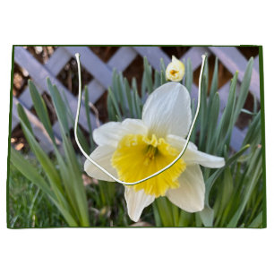 Grand Sac Cadeau Daffodiques jaunes