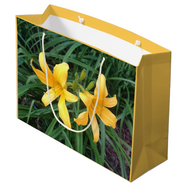 Grand Sac Cadeau DAYLILY "Downey" Duo — ECHO IMPRIMER. (Dos Angle)