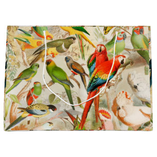 Grand Sac Cadeau Élégant Vintage Oiseaux tropicaux Parrots