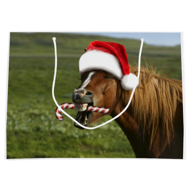 Grand Sac Cadeau Funny Christmas horse with Santa a smiling (Devant)