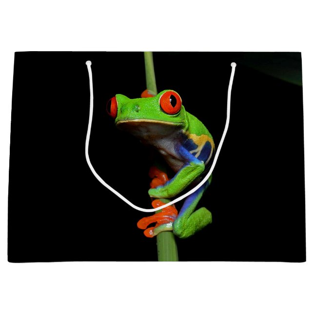 Grand Sac Cadeau Grenouille à feuilles rouges (Devant)