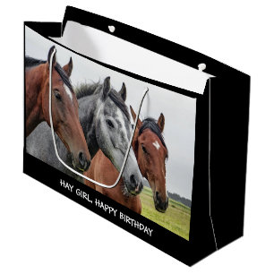 Grand Sac Cadeau Hay Girl Joyeux Anniversaire Cheval Grand Cadeau S