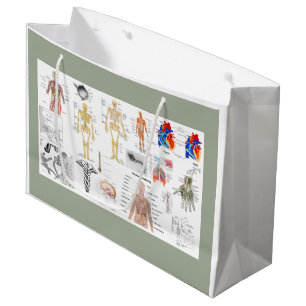 Grand Sac Cadeau Human Anatomy Charts