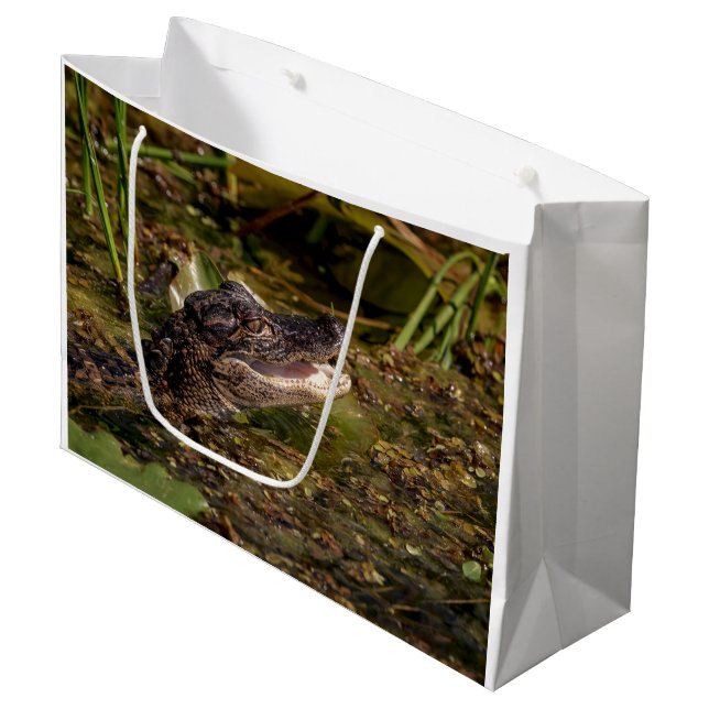 Grand Sac Cadeau Jeune Alligator (Devant Angle)