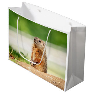 Grand Sac Cadeau Jeune marmotte