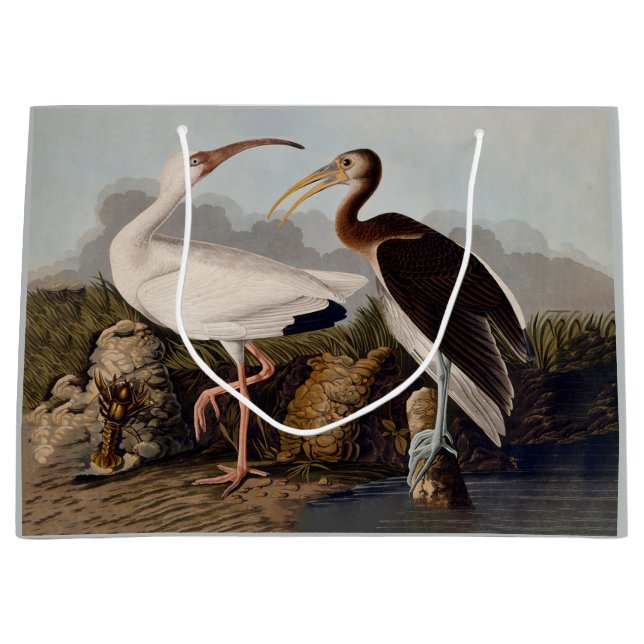 Grand Sac Cadeau John James Audubon White Ibis Bird Print Classic (Devant)