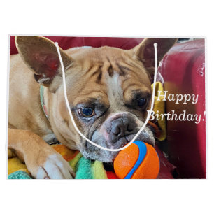 Grand Sac Cadeau Joyeux anniversaire Brindle Bostyon Terrier