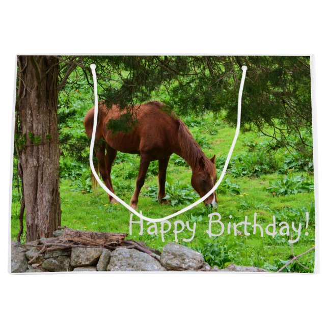 Grand Sac Cadeau Joyeux Cheval d'anniversaire (Devant)