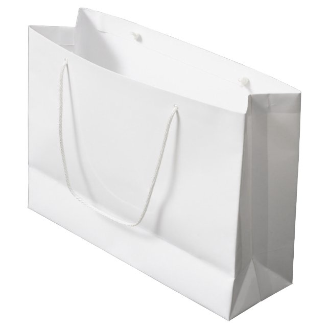 Grand Sac Cadeau Kraft écologique - Recyclable et chic (Devant Angle)