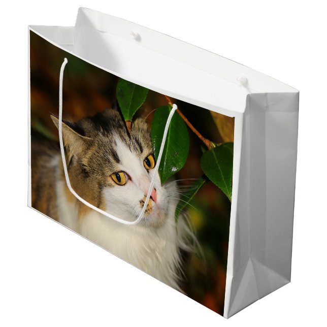 Grand Sac Cadeau Le chat et la Camellia (Devant Angle)