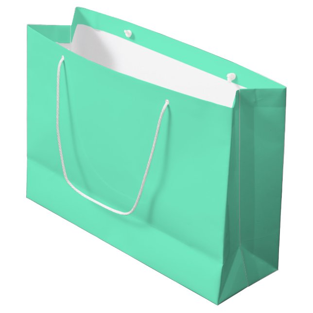 Grand Sac Cadeau Monnaie aquamarine solide (Devant Angle)