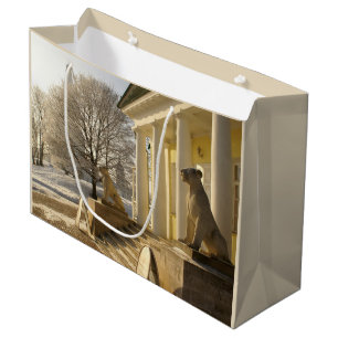 Grand Sac Cadeau Moscou. Hiver. sculpture de lions.