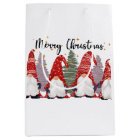 Noël festif gnomes de Noël