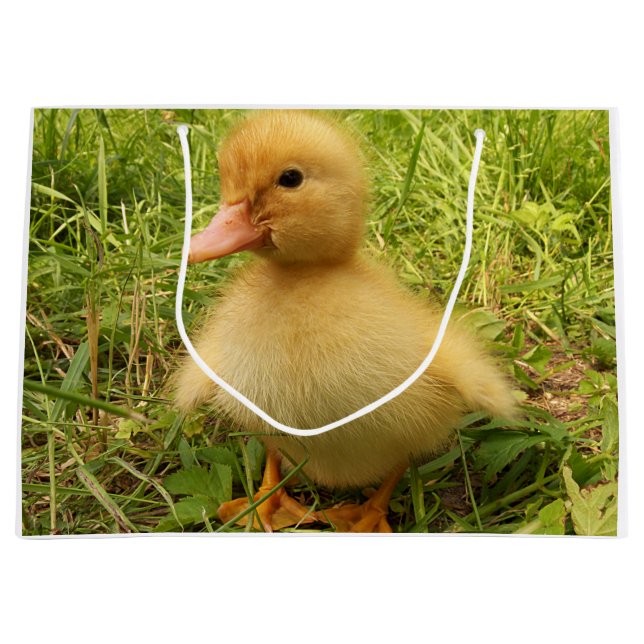 Grand Sac Cadeau oiseau, canard, canard, jaune, nature, mignonette, (Devant)
