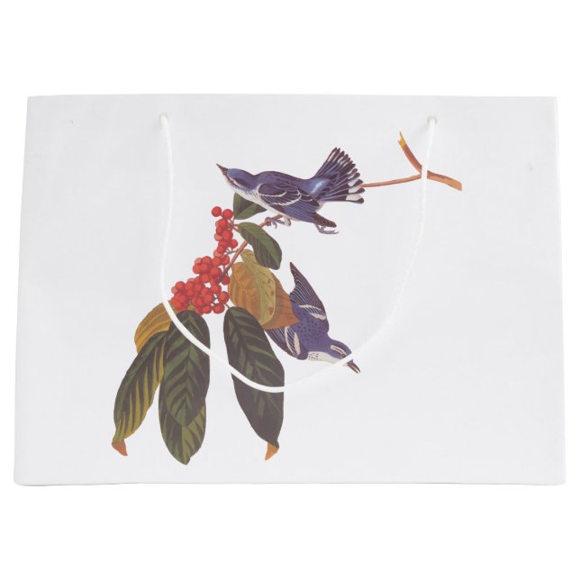 Grand Sac Cadeau Oiseaux de Paruline Céruleenne d'Audubon avec baie (Devant)