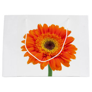 Grand Sac Cadeau Orange Gerbera Daisy Flower