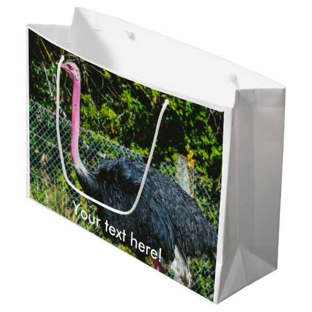 Grand Sac Cadeau Ostrich (Devant Angle)