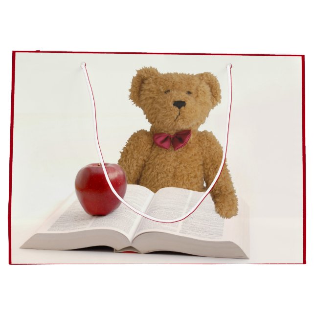 Grand Sac Cadeau Ours de nounours instruit (Dos)