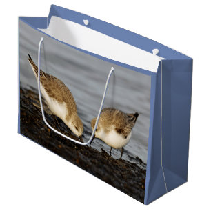 Grand Sac Cadeau Paire mignonne de Sanderlings Sandpipers Partage u