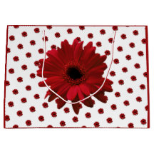 Red Gerbera Daisy Fête des Mères