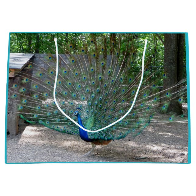 Grand Sac Cadeau Sacoche cadeau Peacock (Devant)
