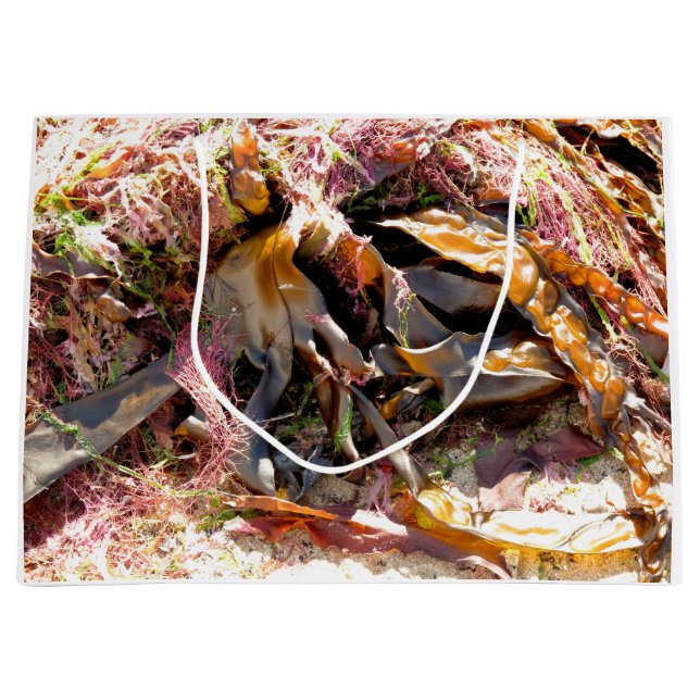 GRAND SAC CADEAU SEAWEED (Devant)