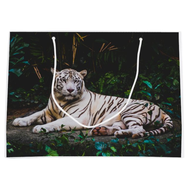Grand Sac Cadeau Tigre (Devant)
