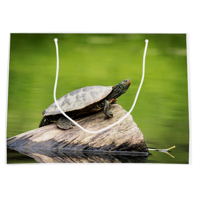 Grand Sac Cadeau Tortue peinte sur un bûcher (Devant)
