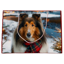 Vacances avec Collie